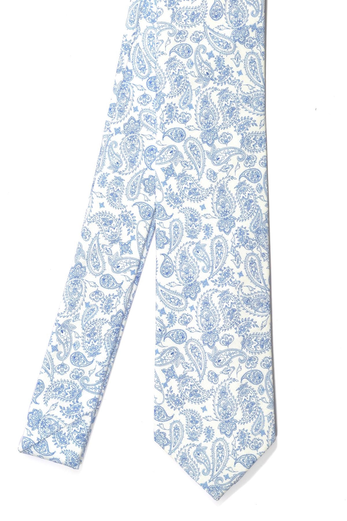 Modern Paisley