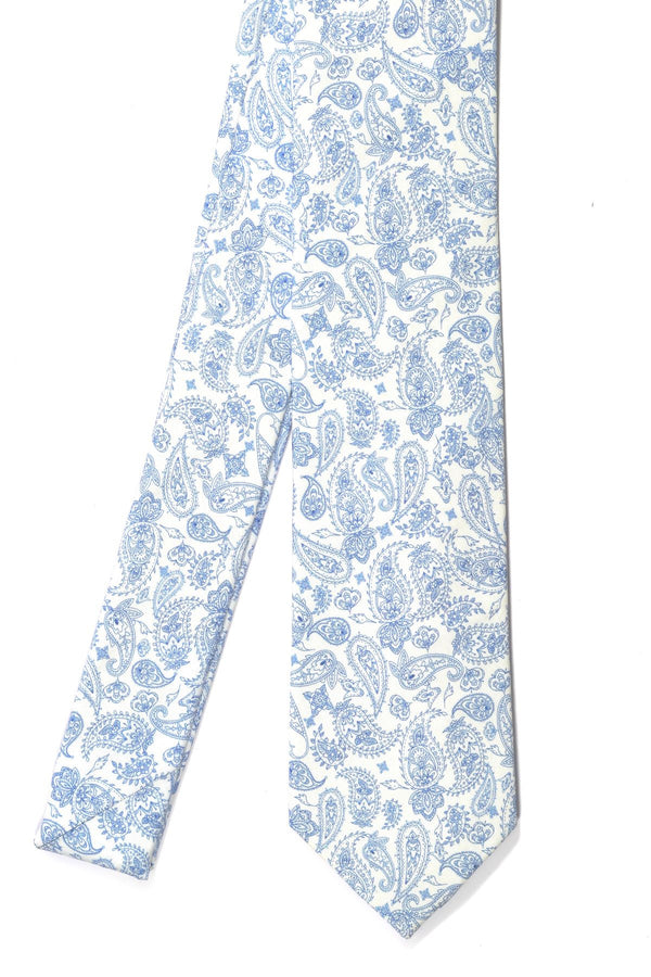 Modern Paisley